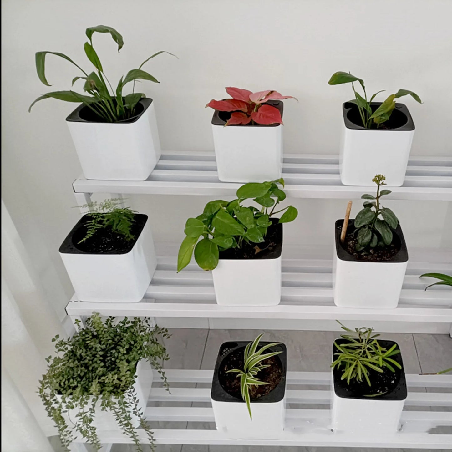 Pot Auto-Arrosant Élégant Blanc — Format Famille - photo 3