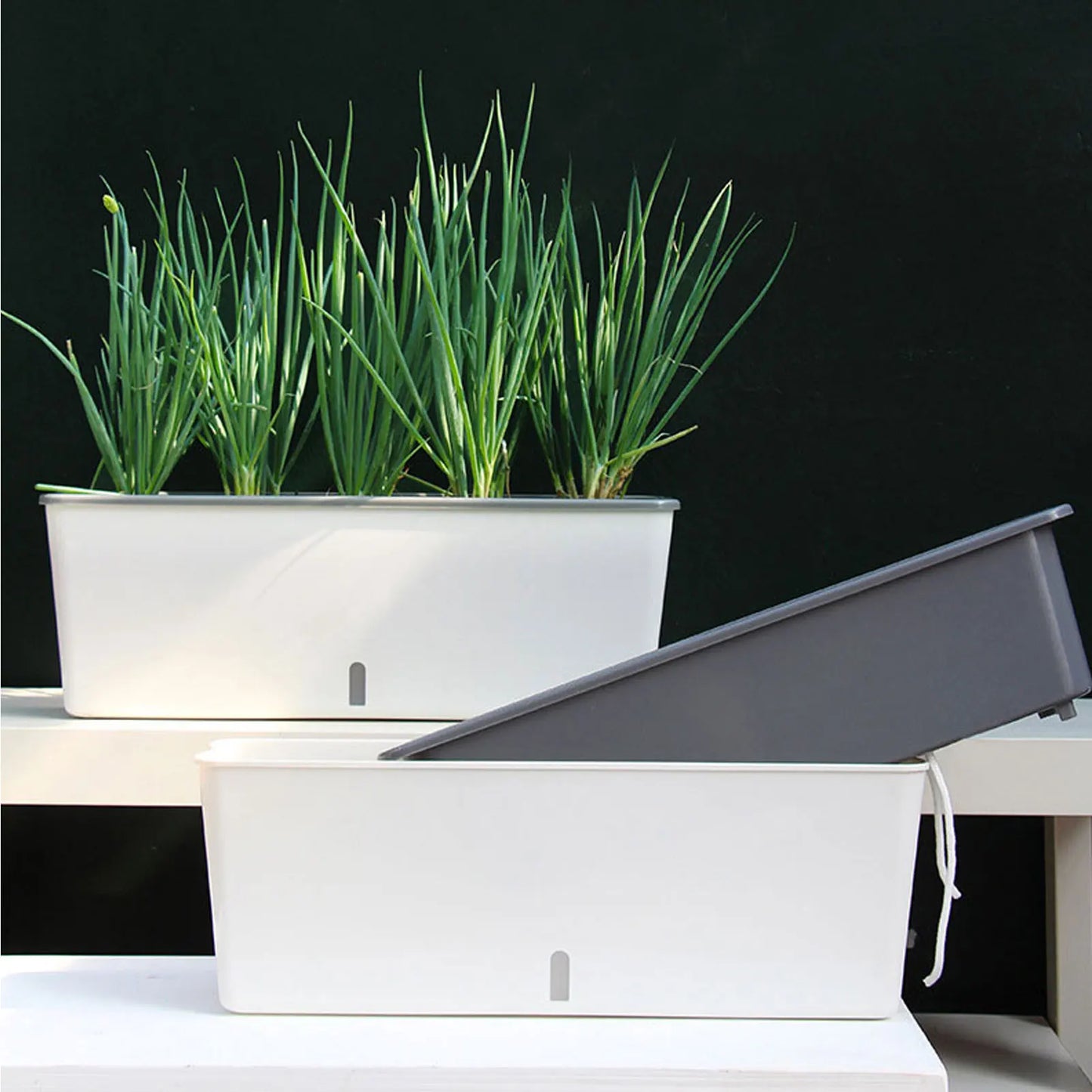 Pot Auto-Arrosant Premium avec Indicateur de Niveau d'Eau - photo 5